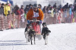 Lenk 2013